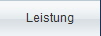 Leistung